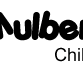Mulberry Tree North Perth OSHC - Search Child Care