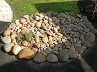 Shine Early Learning Centre