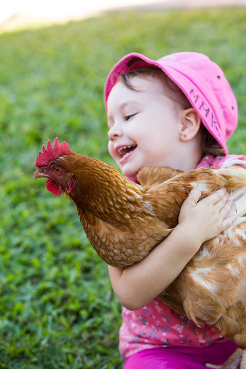 Mary Mackillop Child Care Centre - Kirwan - Search Child Care 21