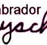 Labrador Playschool - Search Child Care
