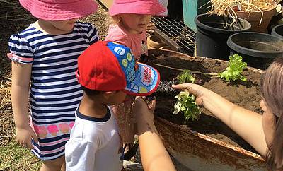 Five Star Family Day Care - Search Child Care 3