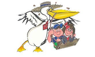 North Coast NSW Search Child Care