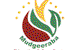 Mudgeeraba Kindergarten & Pre-School - thumb 1