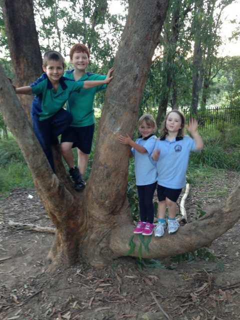 Mount Hutton OOSH & Vacation Care - Search Child Care 10