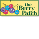 Berry Patch Preschool - Search Child Care