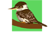 Little Kookas Kingsthorpe Childcare - Search Child Care 0