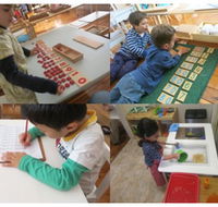 Parkside Montessori - Search Child Care