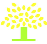 Conyngham Street Community Childcare Centre - Search Child Care