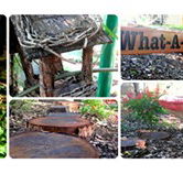 Willmore Kindergarten  Preschool - Search Child Care