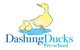 Dashing Ducks Ermington - thumb 0